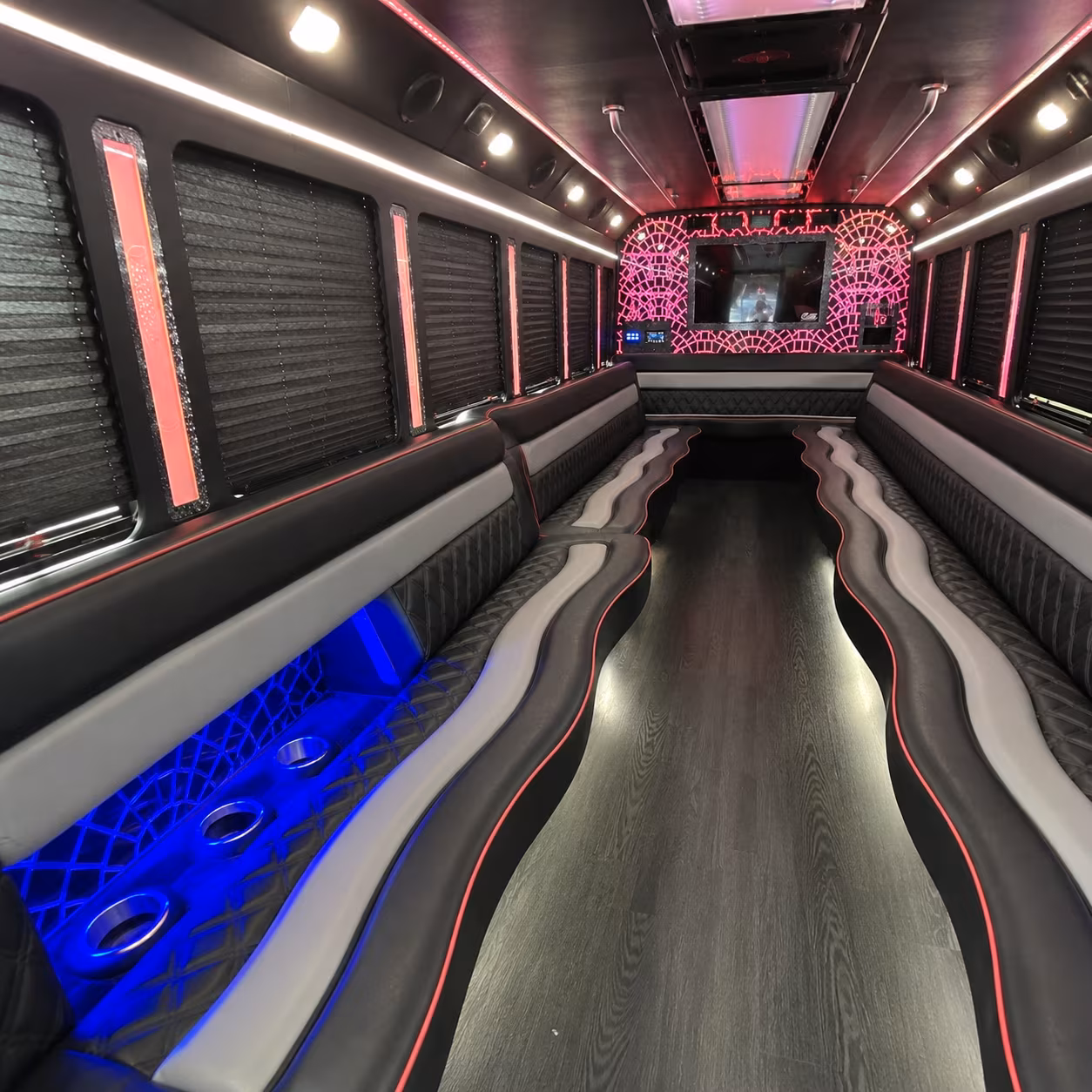 18 Passenger Party Bus Inside